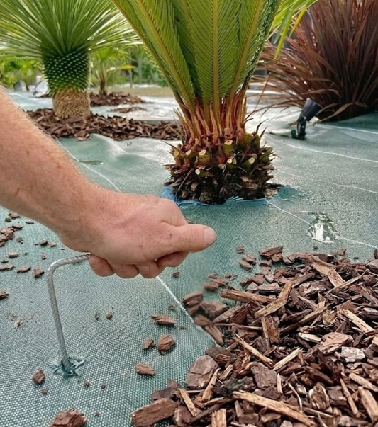 Agrafes sols durs ou caillouteux 24cm/9cm/4cm (Lots de 20, 50, 100 ou 250)