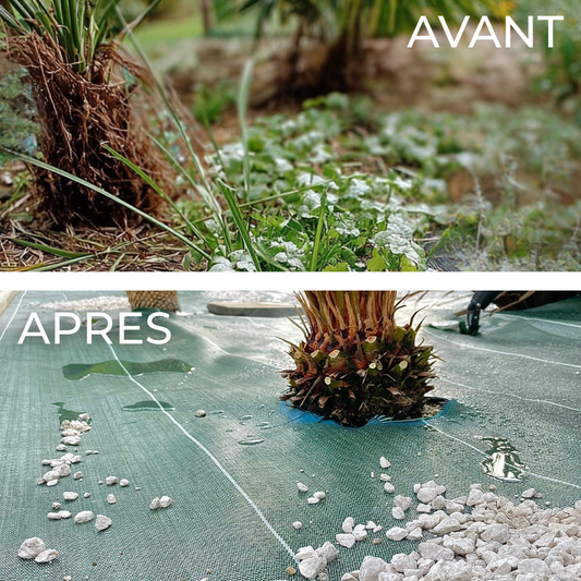 Toile de paillage Verte 130g/m² / Largeur 4,15m / Longueur : 5m, 10m, 15m, 20m, 25m ou 50m