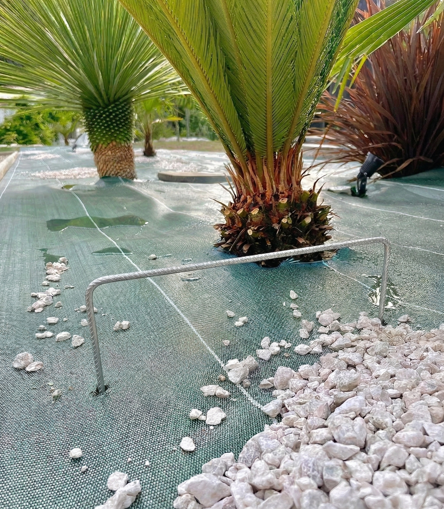 Agrafes pour Toile de paillage (Lots de 10 ,20, 30, 50, 100 ou 200)