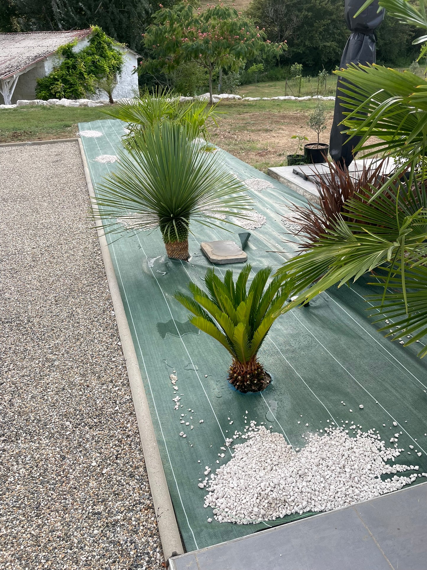 Toile de paillage Verte 130g/m² / Largeur 2,07m / Longueur : 5m, 10m, 15m, 20m, 25m, 50m ou 100m